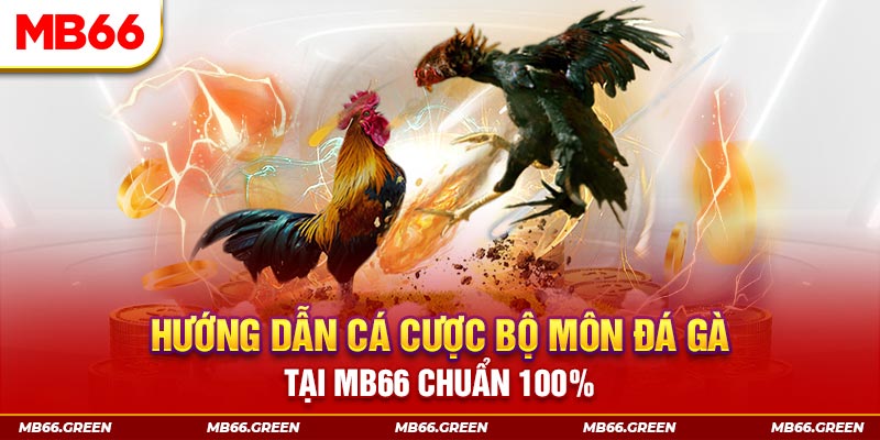 vin77 chơi baccarat là gì