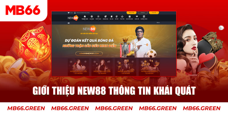 vin77 c1 gà chọi