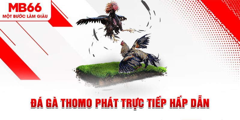 vin77 xổ số miền bắc 30 ngày