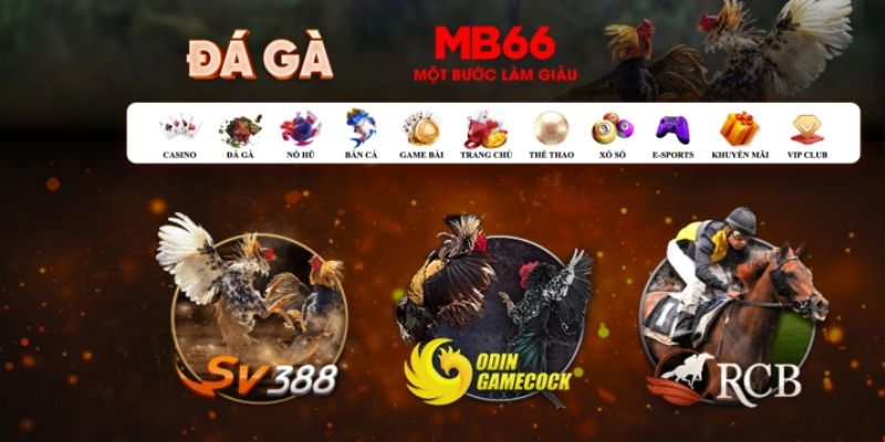 vin77 what is casino bonus wagering