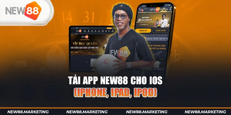 vin77 gà chọi cậu thanh