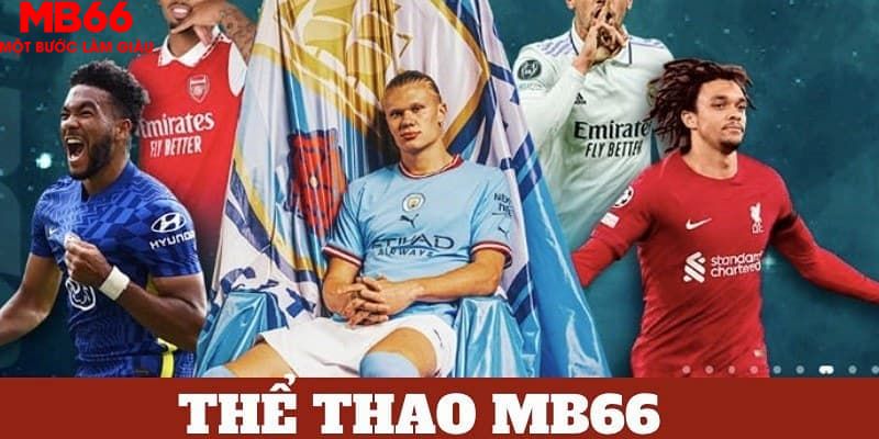 vin77 bản tình ca mùa đông
