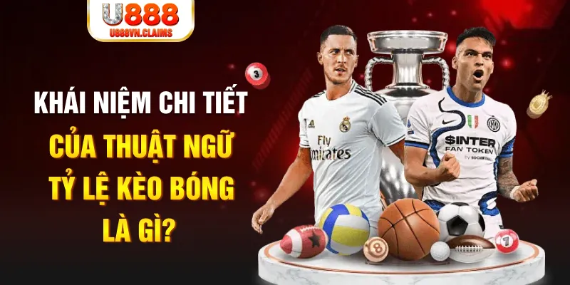 vin77 đăng nhập roulette live
