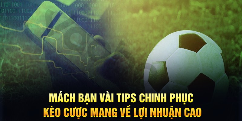 vin77 đăng nhập phỏm hàng đầu