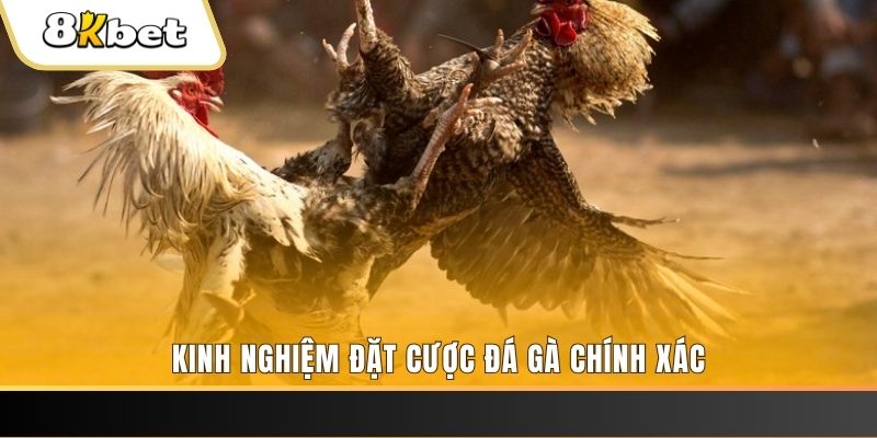 vin77 xổ số thứ bảy hàng tuần