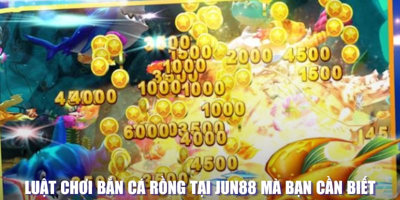 vin77 xổ số đài hà nội