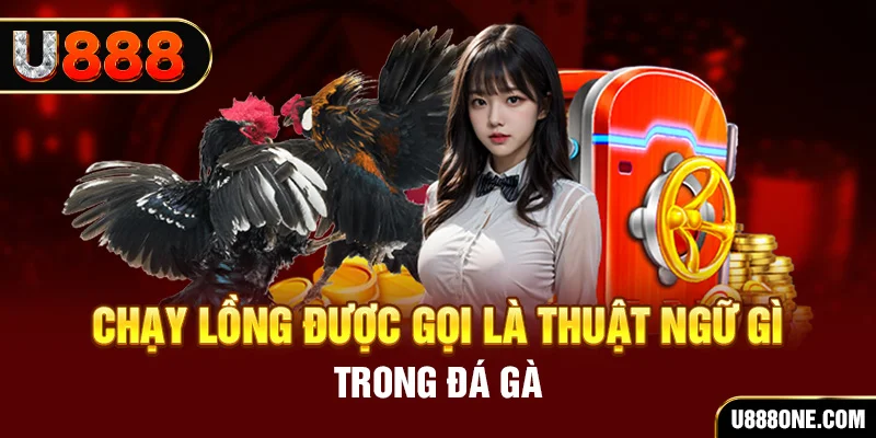 vin77 tai game vua bai ve may tinh