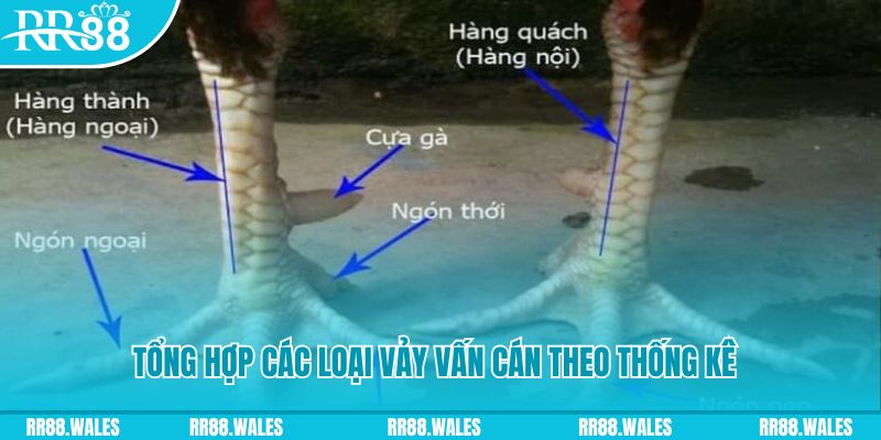vin77 xổ số miền nam thứ sáu