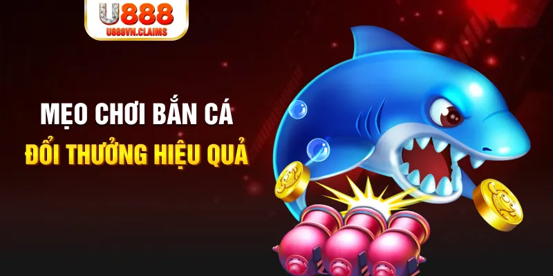 vin77 gà chọi cam ranh