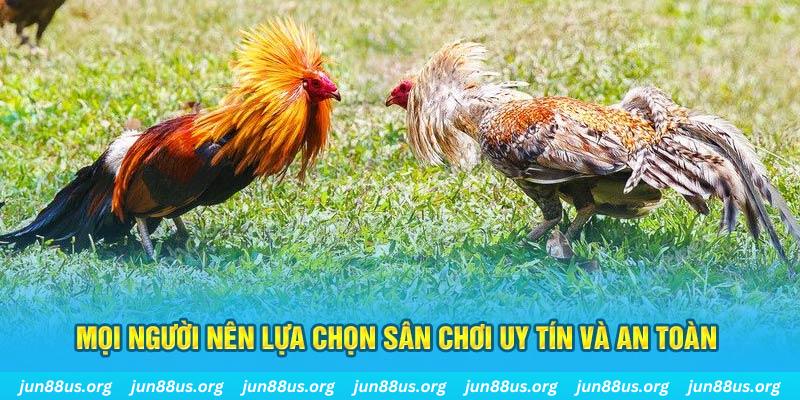 vin77 Cỡ bảy