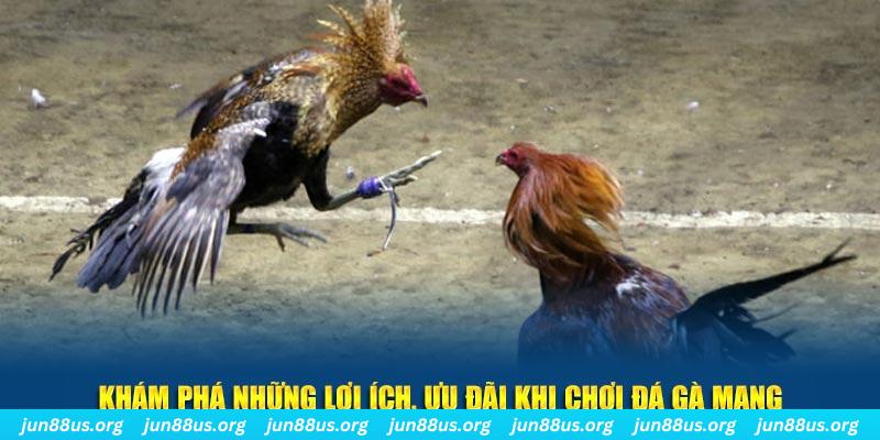 vin77 đăng nhập liêng live