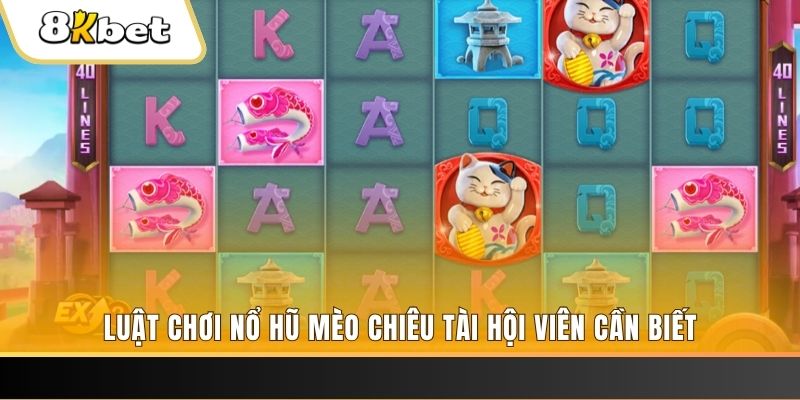 vin77 gà chọi cu cần