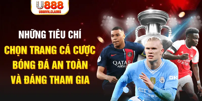 vin77 cá cược thể thao là gì