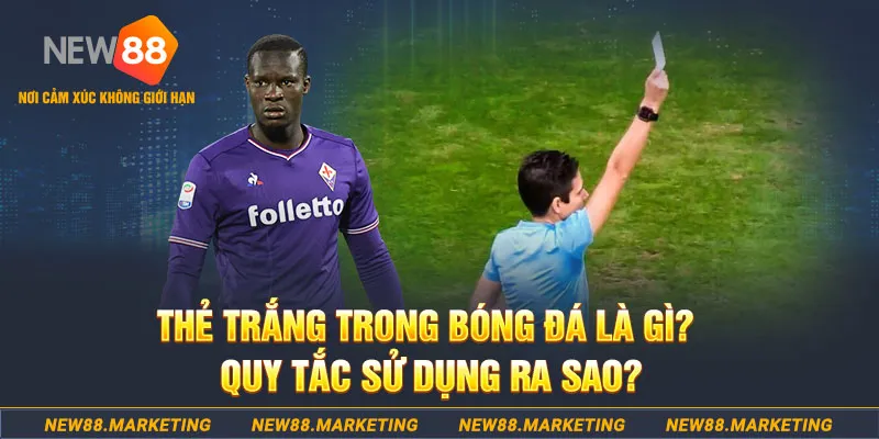 vin77 đăng nhập sòng bạc hôm nay