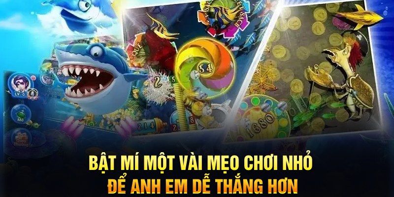 vin77 xổ số thứ ba