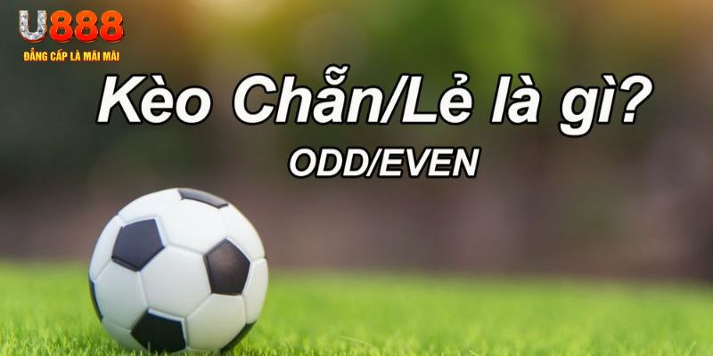 vin77 đăng nhập sòng bạc 2024
