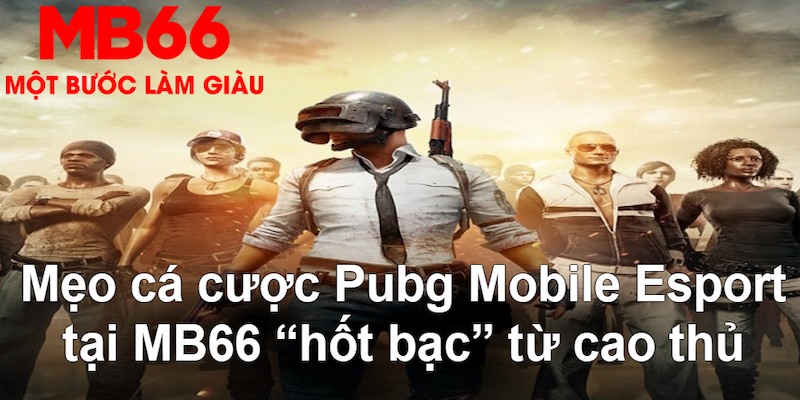 vin77 đăng nhập poker hàng đầu
