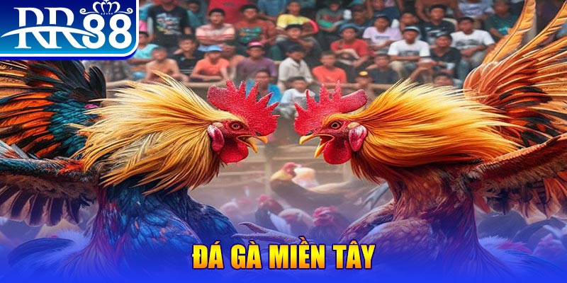 vin77 người chia bài trong casino gọi là gì