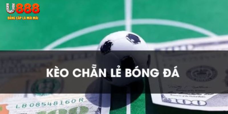 vin77 gà chọi c1.tv