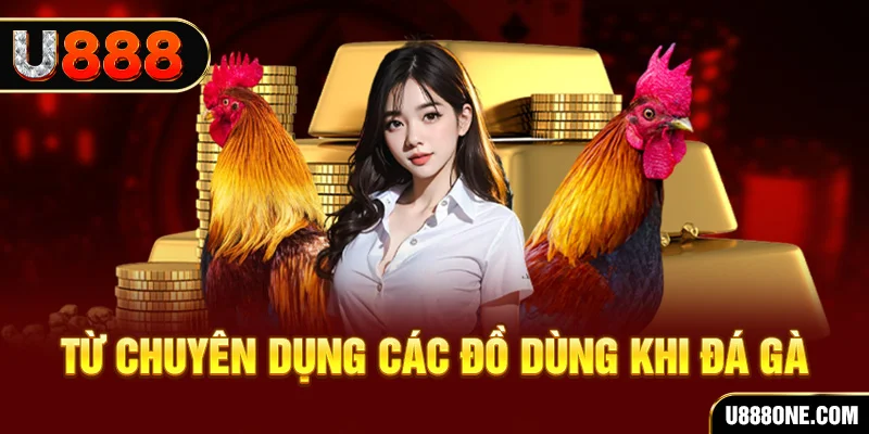 vin77 đá gà trực tiếp campuchia