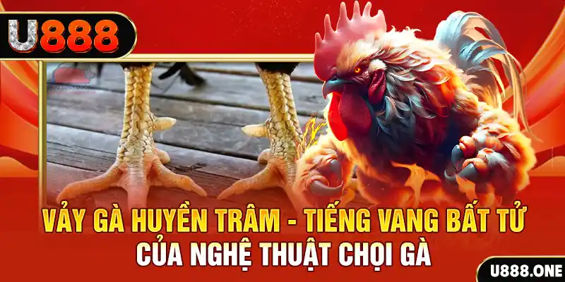vin77 xổ số trực tiếp miền bắc